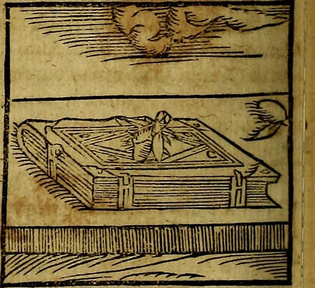 An illustration from Ioannis Pierii Valeriani Bellvnesis Hieroglyphica, sive De sacris Aegypticrvm aliarumq[ue] gentium literis, commentariorum libri LVIII cum duobus alijs ab eruditissimo viro annexis. Accesserunt loco auctarij, Hieroglyphicorum collectanea, ex veteribus & recentioribus auctoribus descripta, & in sex libros digesta. Horapollinis item hieroglyphicorum libri duo, ex postrema Dauidis Hoeschelij correctione. Praetereà eiusdem Pierij declamatiuncula Pro barbis sacerdotum, & reliqua opuscula siue Poemata omnia, 1614, leaf 391