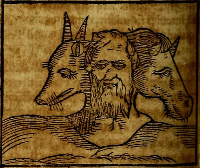 An illustration from Ioannis Pierii Valeriani Bellvnesis Hieroglyphica, sive De sacris Aegypticrvm aliarumq[ue] gentium literis, commentariorum libri LVIII cum duobus alijs ab eruditissimo viro annexis. Accesserunt loco auctarij, Hieroglyphicorum collectanea, ex veteribus & recentioribus auctoribus descripta, & in sex libros digesta. Horapollinis item hieroglyphicorum libri duo, ex postrema Dauidis Hoeschelij correctione. Praetereà eiusdem Pierij declamatiuncula Pro barbis sacerdotum, & reliqua opuscula siue Poemata omnia, 1614, leaf 447