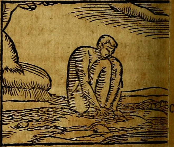 An illustration from Ioannis Pierii Valeriani Bellvnesis Hieroglyphica, sive De sacris Aegypticrvm aliarumq[ue] gentium literis, commentariorum libri LVIII cum duobus alijs ab eruditissimo viro annexis. Accesserunt loco auctarij, Hieroglyphicorum collectanea, ex veteribus & recentioribus auctoribus descripta, & in sex libros digesta. Horapollinis item hieroglyphicorum libri duo, ex postrema Dauidis Hoeschelij correctione. Praetereà eiusdem Pierij declamatiuncula Pro barbis sacerdotum, & reliqua opuscula siue Poemata omnia, 1614, leaf 449