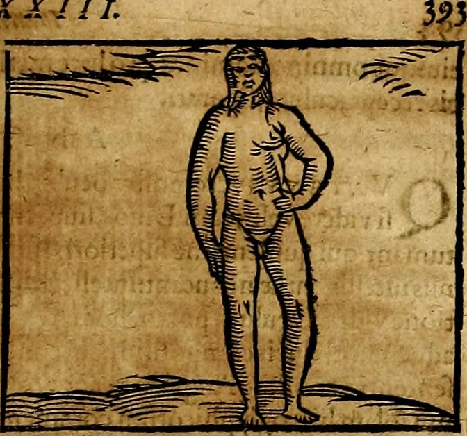An illustration from Ioannis Pierii Valeriani Bellvnesis Hieroglyphica, sive De sacris Aegypticrvm aliarumq[ue] gentium literis, commentariorum libri LVIII cum duobus alijs ab eruditissimo viro annexis. Accesserunt loco auctarij, Hieroglyphicorum collectanea, ex veteribus & recentioribus auctoribus descripta, & in sex libros digesta. Horapollinis item hieroglyphicorum libri duo, ex postrema Dauidis Hoeschelij correctione. Praetereà eiusdem Pierij declamatiuncula Pro barbis sacerdotum, & reliqua opuscula siue Poemata omnia, 1614, leaf 456