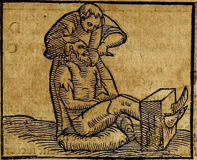 An illustration from Ioannis Pierii Valeriani Bellvnesis Hieroglyphica, sive De sacris Aegypticrvm aliarumq[ue] gentium literis, commentariorum libri LVIII cum duobus alijs ab eruditissimo viro annexis. Accesserunt loco auctarij, Hieroglyphicorum collectanea, ex veteribus & recentioribus auctoribus descripta, & in sex libros digesta. Horapollinis item hieroglyphicorum libri duo, ex postrema Dauidis Hoeschelij correctione. Praetereà eiusdem Pierij declamatiuncula Pro barbis sacerdotum, & reliqua opuscula siue Poemata omnia, 1614, leaf 460