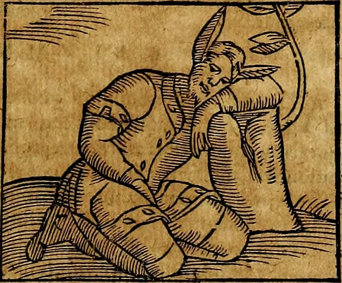 An illustration from Ioannis Pierii Valeriani Bellvnesis Hieroglyphica, sive De sacris Aegypticrvm aliarumq[ue] gentium literis, commentariorum libri LVIII cum duobus alijs ab eruditissimo viro annexis. Accesserunt loco auctarij, Hieroglyphicorum collectanea, ex veteribus & recentioribus auctoribus descripta, & in sex libros digesta. Horapollinis item hieroglyphicorum libri duo, ex postrema Dauidis Hoeschelij correctione. Praetereà eiusdem Pierij declamatiuncula Pro barbis sacerdotum, & reliqua opuscula siue Poemata omnia, 1614, leaf 462