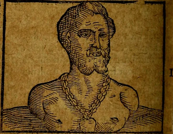 An illustration from Ioannis Pierii Valeriani Bellvnesis Hieroglyphica, sive De sacris Aegypticrvm aliarumq[ue] gentium literis, commentariorum libri LVIII cum duobus alijs ab eruditissimo viro annexis. Accesserunt loco auctarij, Hieroglyphicorum collectanea, ex veteribus & recentioribus auctoribus descripta, & in sex libros digesta. Horapollinis item hieroglyphicorum libri duo, ex postrema Dauidis Hoeschelij correctione. Praetereà eiusdem Pierij declamatiuncula Pro barbis sacerdotum, & reliqua opuscula siue Poemata omnia, 1614, leaf 469