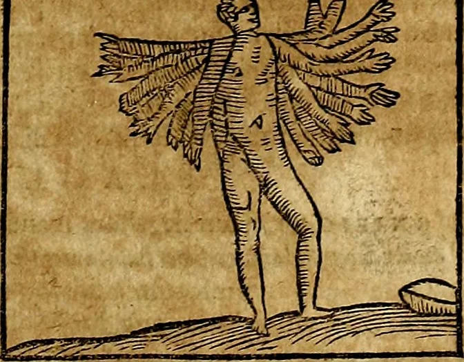 An illustration from Ioannis Pierii Valeriani Bellvnesis Hieroglyphica, sive De sacris Aegypticrvm aliarumq[ue] gentium literis, commentariorum libri LVIII cum duobus alijs ab eruditissimo viro annexis. Accesserunt loco auctarij, Hieroglyphicorum collectanea, ex veteribus & recentioribus auctoribus descripta, & in sex libros digesta. Horapollinis item hieroglyphicorum libri duo, ex postrema Dauidis Hoeschelij correctione. Praetereà eiusdem Pierij declamatiuncula Pro barbis sacerdotum, & reliqua opuscula siue Poemata omnia, 1614, leaf 488