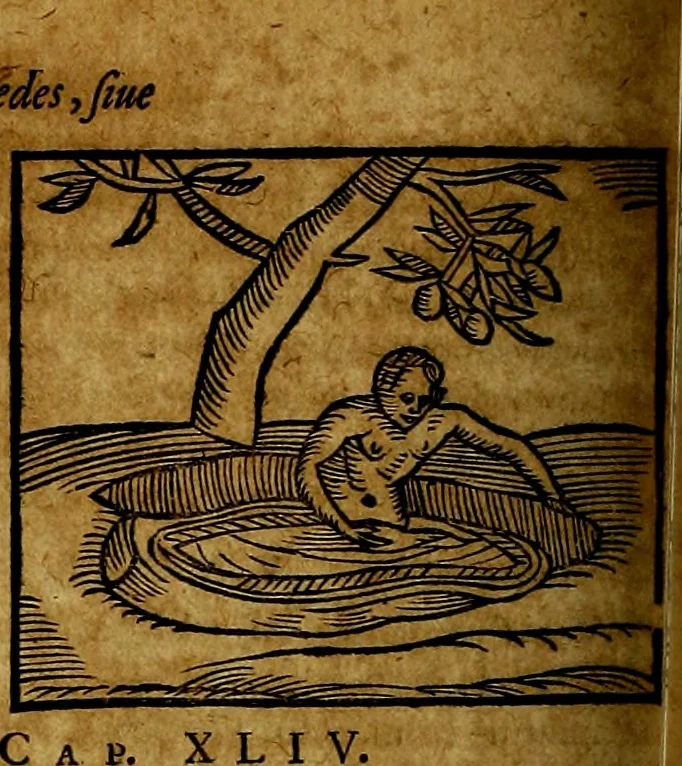 An illustration from Ioannis Pierii Valeriani Bellvnesis Hieroglyphica, sive De sacris Aegypticrvm aliarumq[ue] gentium literis, commentariorum libri LVIII cum duobus alijs ab eruditissimo viro annexis. Accesserunt loco auctarij, Hieroglyphicorum collectanea, ex veteribus & recentioribus auctoribus descripta, & in sex libros digesta. Horapollinis item hieroglyphicorum libri duo, ex postrema Dauidis Hoeschelij correctione. Praetereà eiusdem Pierij declamatiuncula Pro barbis sacerdotum, & reliqua opuscula siue Poemata omnia, 1614, leaf 497