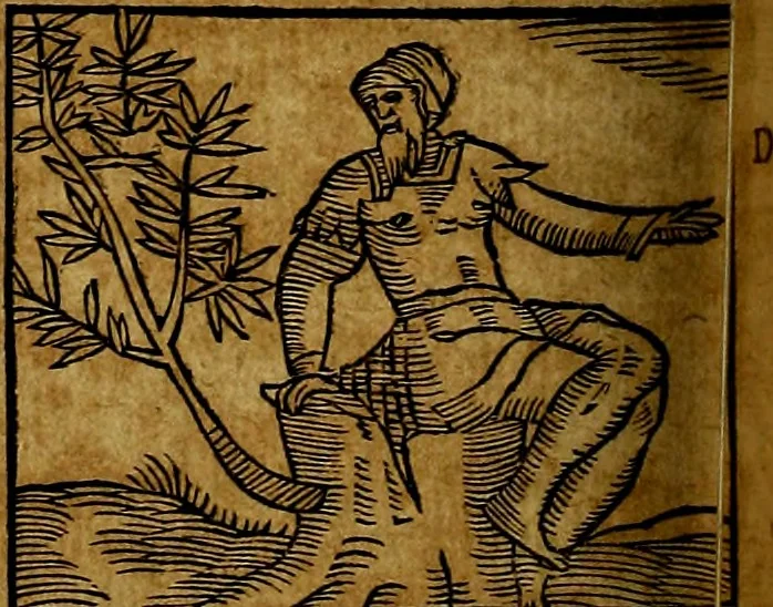 An illustration from Ioannis Pierii Valeriani Bellvnesis Hieroglyphica, sive De sacris Aegypticrvm aliarumq[ue] gentium literis, commentariorum libri LVIII cum duobus alijs ab eruditissimo viro annexis. Accesserunt loco auctarij, Hieroglyphicorum collectanea, ex veteribus & recentioribus auctoribus descripta, & in sex libros digesta. Horapollinis item hieroglyphicorum libri duo, ex postrema Dauidis Hoeschelij correctione. Praetereà eiusdem Pierij declamatiuncula Pro barbis sacerdotum, & reliqua opuscula siue Poemata omnia, 1614, leaf 499
