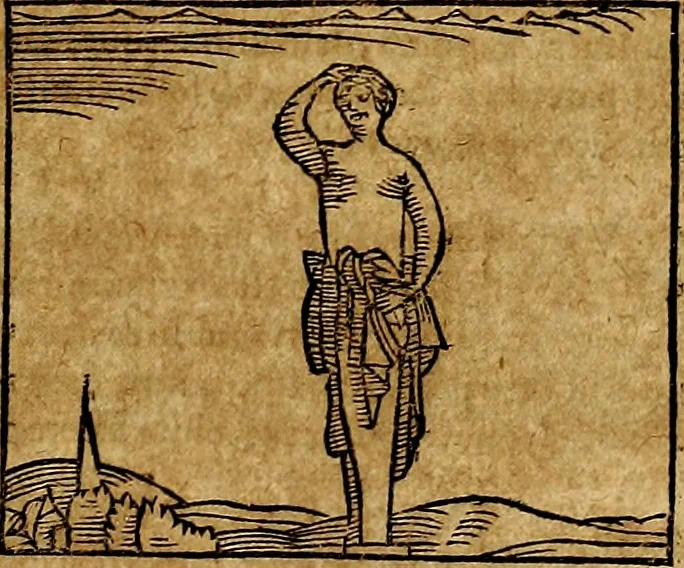 An illustration from Ioannis Pierii Valeriani Bellvnesis Hieroglyphica, sive De sacris Aegypticrvm aliarumq[ue] gentium literis, commentariorum libri LVIII cum duobus alijs ab eruditissimo viro annexis. Accesserunt loco auctarij, Hieroglyphicorum collectanea, ex veteribus & recentioribus auctoribus descripta, & in sex libros digesta. Horapollinis item hieroglyphicorum libri duo, ex postrema Dauidis Hoeschelij correctione. Praetereà eiusdem Pierij declamatiuncula Pro barbis sacerdotum, & reliqua opuscula siue Poemata omnia, 1614, leaf 502