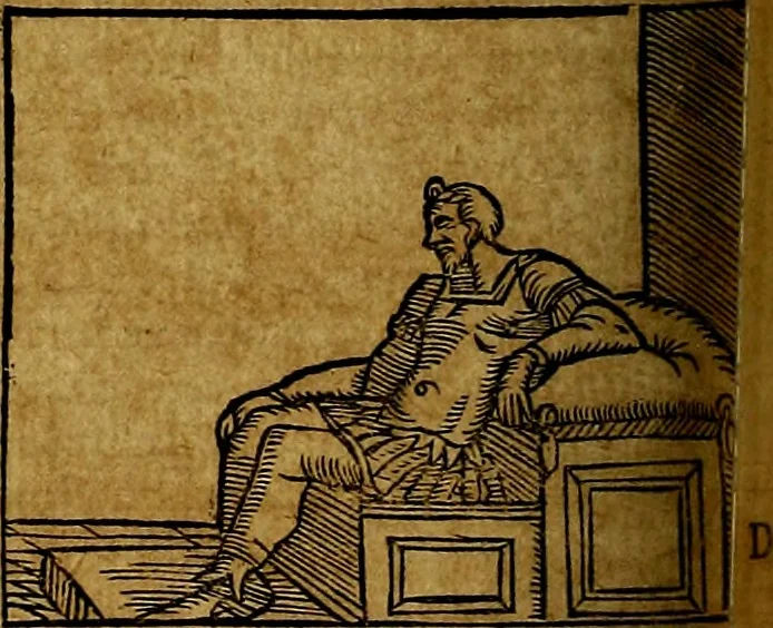 An illustration from Ioannis Pierii Valeriani Bellvnesis Hieroglyphica, sive De sacris Aegypticrvm aliarumq[ue] gentium literis, commentariorum libri LVIII cum duobus alijs ab eruditissimo viro annexis. Accesserunt loco auctarij, Hieroglyphicorum collectanea, ex veteribus & recentioribus auctoribus descripta, & in sex libros digesta. Horapollinis item hieroglyphicorum libri duo, ex postrema Dauidis Hoeschelij correctione. Praetereà eiusdem Pierij declamatiuncula Pro barbis sacerdotum, & reliqua opuscula siue Poemata omnia, 1614, leaf 511