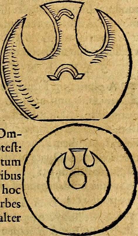 An illustration from Ioannis Pierii Valeriani Bellvnesis Hieroglyphica, sive De sacris Aegypticrvm aliarumq[ue] gentium literis, commentariorum libri LVIII cum duobus alijs ab eruditissimo viro annexis. Accesserunt loco auctarij, Hieroglyphicorum collectanea, ex veteribus & recentioribus auctoribus descripta, & in sex libros digesta. Horapollinis item hieroglyphicorum libri duo, ex postrema Dauidis Hoeschelij correctione. Praetereà eiusdem Pierij declamatiuncula Pro barbis sacerdotum, & reliqua opuscula siue Poemata omnia, 1614, leaf 594