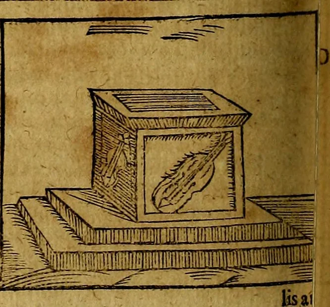 An illustration from Ioannis Pierii Valeriani Bellvnesis Hieroglyphica, sive De sacris Aegypticrvm aliarumq[ue] gentium literis, commentariorum libri LVIII cum duobus alijs ab eruditissimo viro annexis. Accesserunt loco auctarij, Hieroglyphicorum collectanea, ex veteribus & recentioribus auctoribus descripta, & in sex libros digesta. Horapollinis item hieroglyphicorum libri duo, ex postrema Dauidis Hoeschelij correctione. Praetereà eiusdem Pierij declamatiuncula Pro barbis sacerdotum, & reliqua opuscula siue Poemata omnia, 1614, leaf 653