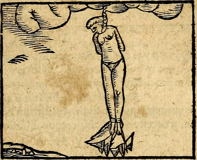 An illustration from Ioannis Pierii Valeriani Bellvnesis Hieroglyphica, sive De sacris Aegypticrvm aliarumq[ue] gentium literis, commentariorum libri LVIII cum duobus alijs ab eruditissimo viro annexis. Accesserunt loco auctarij, Hieroglyphicorum collectanea, ex veteribus & recentioribus auctoribus descripta, & in sex libros digesta. Horapollinis item hieroglyphicorum libri duo, ex postrema Dauidis Hoeschelij correctione. Praetereà eiusdem Pierij declamatiuncula Pro barbis sacerdotum, & reliqua opuscula siue Poemata omnia, 1614, leaf 666