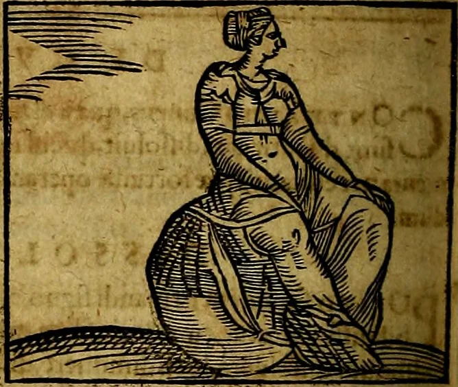 An illustration from Ioannis Pierii Valeriani Bellvnesis Hieroglyphica, sive De sacris Aegypticrvm aliarumq[ue] gentium literis, commentariorum libri LVIII cum duobus alijs ab eruditissimo viro annexis. Accesserunt loco auctarij, Hieroglyphicorum collectanea, ex veteribus & recentioribus auctoribus descripta, & in sex libros digesta. Horapollinis item hieroglyphicorum libri duo, ex postrema Dauidis Hoeschelij correctione. Praetereà eiusdem Pierij declamatiuncula Pro barbis sacerdotum, & reliqua opuscula siue Poemata omnia, 1614, leaf 679