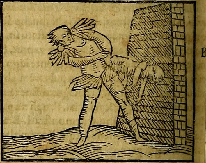 An illustration from Ioannis Pierii Valeriani Bellvnesis Hieroglyphica, sive De sacris Aegypticrvm aliarumq[ue] gentium literis, commentariorum libri LVIII cum duobus alijs ab eruditissimo viro annexis. Accesserunt loco auctarij, Hieroglyphicorum collectanea, ex veteribus & recentioribus auctoribus descripta, & in sex libros digesta. Horapollinis item hieroglyphicorum libri duo, ex postrema Dauidis Hoeschelij correctione. Praetereà eiusdem Pierij declamatiuncula Pro barbis sacerdotum, & reliqua opuscula siue Poemata omnia, 1614, leaf 683
