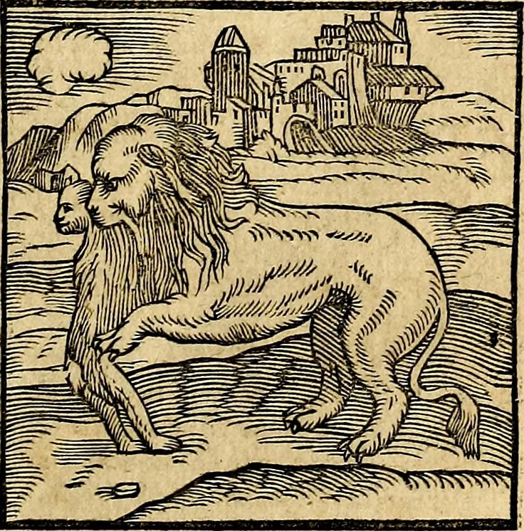 An illustration from Ioannis Pierii Valeriani Bellvnesis Hieroglyphica, sive De sacris Aegypticrvm aliarumq[ue] gentium literis, commentariorum libri LVIII cum duobus alijs ab eruditissimo viro annexis. Accesserunt loco auctarij, Hieroglyphicorum collectanea, ex veteribus & recentioribus auctoribus descripta, & in sex libros digesta. Horapollinis item hieroglyphicorum libri duo, ex postrema Dauidis Hoeschelij correctione. Praetereà eiusdem Pierij declamatiuncula Pro barbis sacerdotum, & reliqua opuscula siue Poemata omnia, 1614, leaf 70