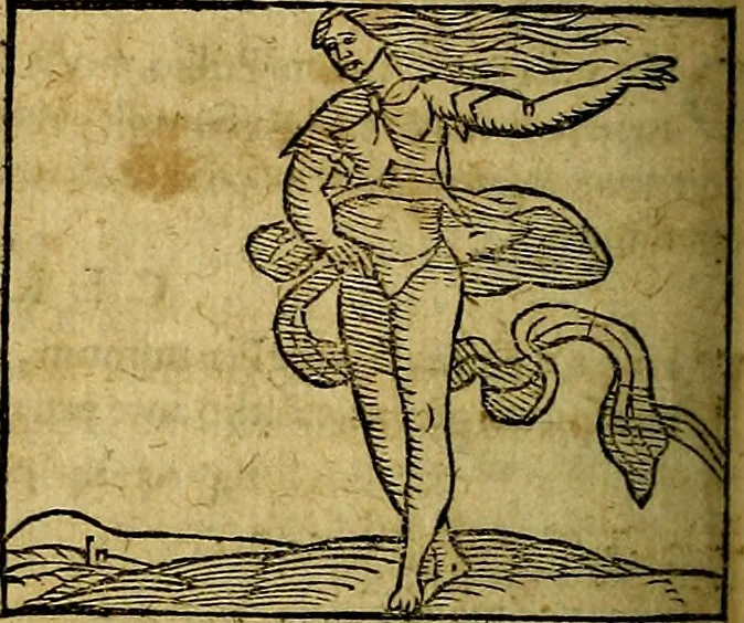 An illustration from Ioannis Pierii Valeriani Bellvnesis Hieroglyphica, sive De sacris Aegypticrvm aliarumq[ue] gentium literis, commentariorum libri LVIII cum duobus alijs ab eruditissimo viro annexis. Accesserunt loco auctarij, Hieroglyphicorum collectanea, ex veteribus & recentioribus auctoribus descripta, & in sex libros digesta. Horapollinis item hieroglyphicorum libri duo, ex postrema Dauidis Hoeschelij correctione. Praetereà eiusdem Pierij declamatiuncula Pro barbis sacerdotum, & reliqua opuscula siue Poemata omnia, 1614, leaf 757