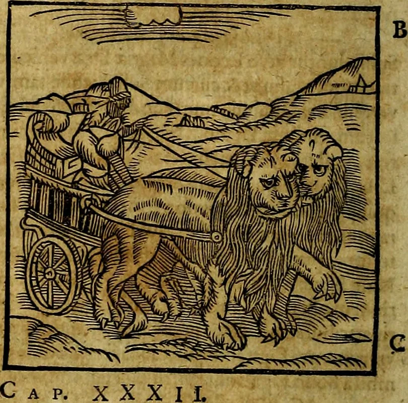 An illustration from Ioannis Pierii Valeriani Bellvnesis Hieroglyphica, sive De sacris Aegypticrvm aliarumq[ue] gentium literis, commentariorum libri LVIII cum duobus alijs ab eruditissimo viro annexis. Accesserunt loco auctarij, Hieroglyphicorum collectanea, ex veteribus & recentioribus auctoribus descripta, & in sex libros digesta. Horapollinis item hieroglyphicorum libri duo, ex postrema Dauidis Hoeschelij correctione. Praetereà eiusdem Pierij declamatiuncula Pro barbis sacerdotum, & reliqua opuscula siue Poemata omnia, 1614, leaf 79