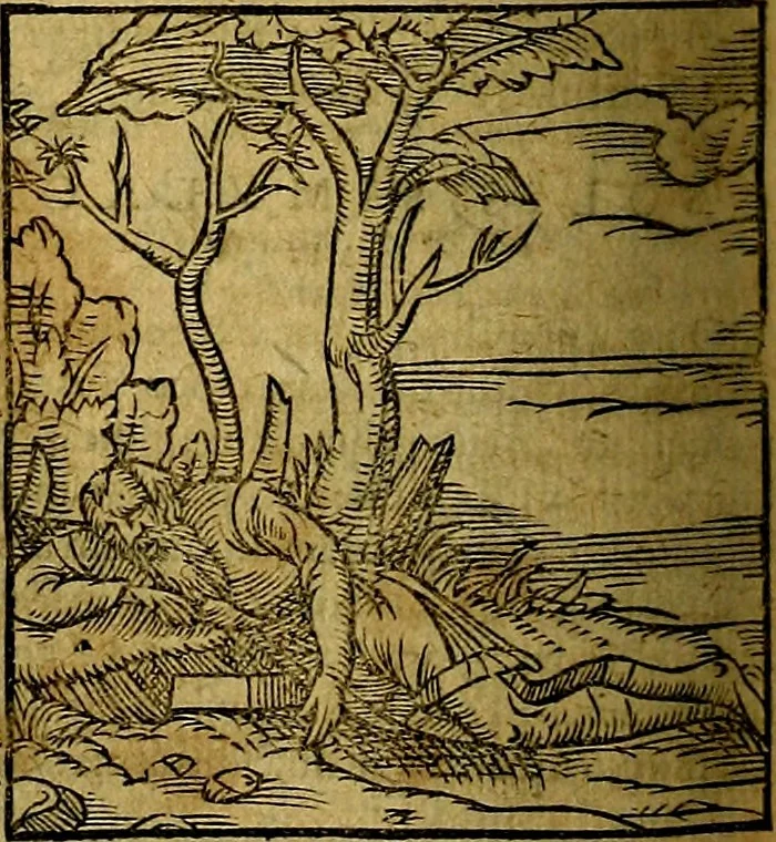 An illustration from Ioannis Pierii Valeriani Bellvnesis Hieroglyphica, sive De sacris Aegypticrvm aliarumq[ue] gentium literis, commentariorum libri LVIII cum duobus alijs ab eruditissimo viro annexis. Accesserunt loco auctarij, Hieroglyphicorum collectanea, ex veteribus & recentioribus auctoribus descripta, & in sex libros digesta. Horapollinis item hieroglyphicorum libri duo, ex postrema Dauidis Hoeschelij correctione. Praetereà eiusdem Pierij declamatiuncula Pro barbis sacerdotum, & reliqua opuscula siue Poemata omnia, 1614, leaf 795