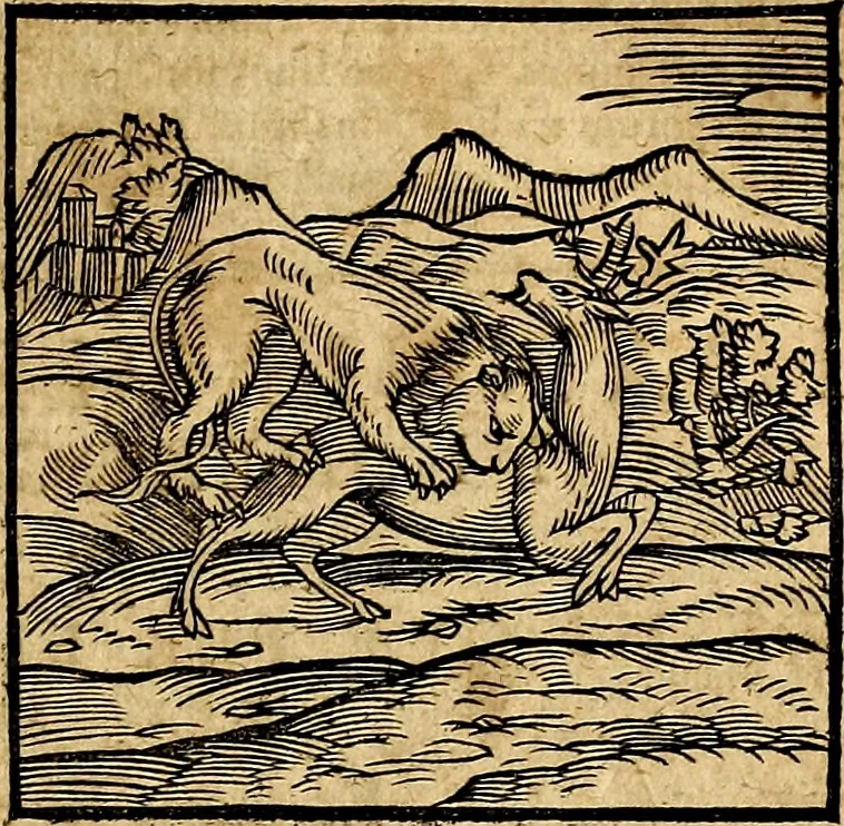An illustration from Ioannis Pierii Valeriani Bellvnesis Hieroglyphica, sive De sacris Aegypticrvm aliarumq[ue] gentium literis, commentariorum libri LVIII cum duobus alijs ab eruditissimo viro annexis. Accesserunt loco auctarij, Hieroglyphicorum collectanea, ex veteribus & recentioribus auctoribus descripta, & in sex libros digesta. Horapollinis item hieroglyphicorum libri duo, ex postrema Dauidis Hoeschelij correctione. Praetereà eiusdem Pierij declamatiuncula Pro barbis sacerdotum, & reliqua opuscula siue Poemata omnia, 1614, leaf 80