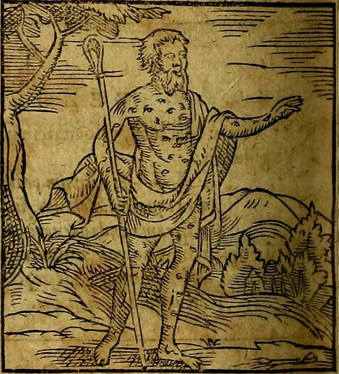 An illustration from Ioannis Pierii Valeriani Bellvnesis Hieroglyphica, sive De sacris Aegypticrvm aliarumq[ue] gentium literis, commentariorum libri LVIII cum duobus alijs ab eruditissimo viro annexis. Accesserunt loco auctarij, Hieroglyphicorum collectanea, ex veteribus & recentioribus auctoribus descripta, & in sex libros digesta. Horapollinis item hieroglyphicorum libri duo, ex postrema Dauidis Hoeschelij correctione. Praetereà eiusdem Pierij declamatiuncula Pro barbis sacerdotum, & reliqua opuscula siue Poemata omnia, 1614, leaf 801