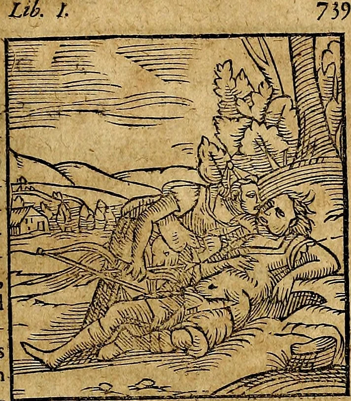 An illustration from Ioannis Pierii Valeriani Bellvnesis Hieroglyphica, sive De sacris Aegypticrvm aliarumq[ue] gentium literis, commentariorum libri LVIII cum duobus alijs ab eruditissimo viro annexis. Accesserunt loco auctarij, Hieroglyphicorum collectanea, ex veteribus & recentioribus auctoribus descripta, & in sex libros digesta. Horapollinis item hieroglyphicorum libri duo, ex postrema Dauidis Hoeschelij correctione. Praetereà eiusdem Pierij declamatiuncula Pro barbis sacerdotum, & reliqua opuscula siue Poemata omnia, 1614, leaf 802