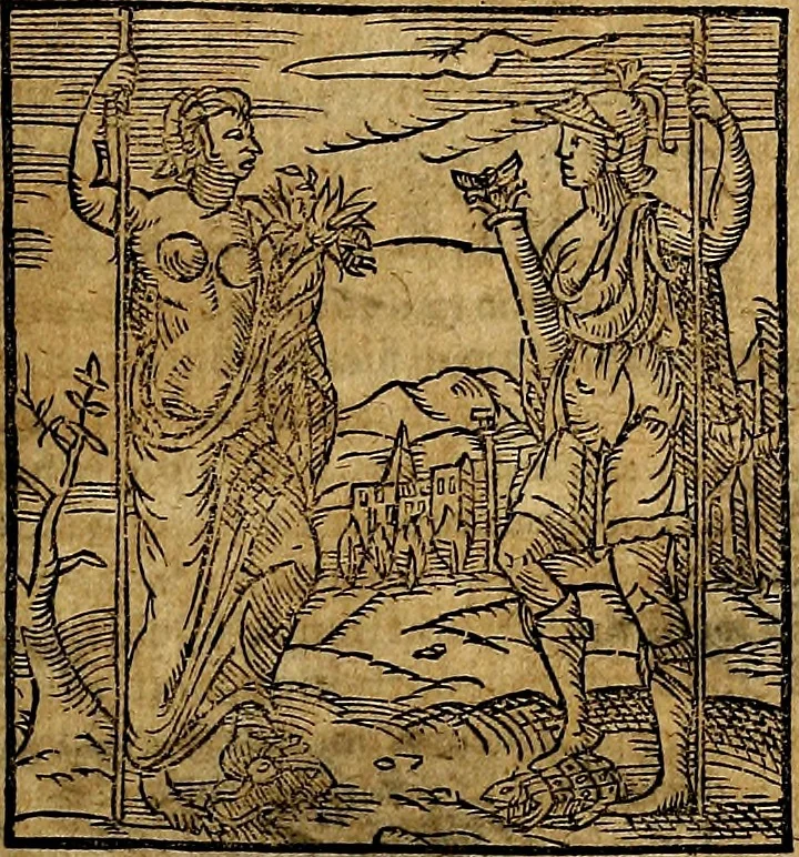 An illustration from Ioannis Pierii Valeriani Bellvnesis Hieroglyphica, sive De sacris Aegypticrvm aliarumq[ue] gentium literis, commentariorum libri LVIII cum duobus alijs ab eruditissimo viro annexis. Accesserunt loco auctarij, Hieroglyphicorum collectanea, ex veteribus & recentioribus auctoribus descripta, & in sex libros digesta. Horapollinis item hieroglyphicorum libri duo, ex postrema Dauidis Hoeschelij correctione. Praetereà eiusdem Pierij declamatiuncula Pro barbis sacerdotum, & reliqua opuscula siue Poemata omnia, 1614, leaf 804
