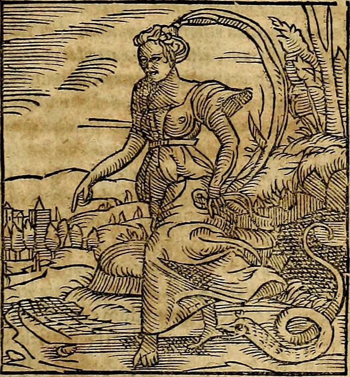 An illustration from Ioannis Pierii Valeriani Bellvnesis Hieroglyphica, sive De sacris Aegypticrvm aliarumq[ue] gentium literis, commentariorum libri LVIII cum duobus alijs ab eruditissimo viro annexis. Accesserunt loco auctarij, Hieroglyphicorum collectanea, ex veteribus & recentioribus auctoribus descripta, & in sex libros digesta. Horapollinis item hieroglyphicorum libri duo, ex postrema Dauidis Hoeschelij correctione. Praetereà eiusdem Pierij declamatiuncula Pro barbis sacerdotum, & reliqua opuscula siue Poemata omnia, 1614, leaf 808