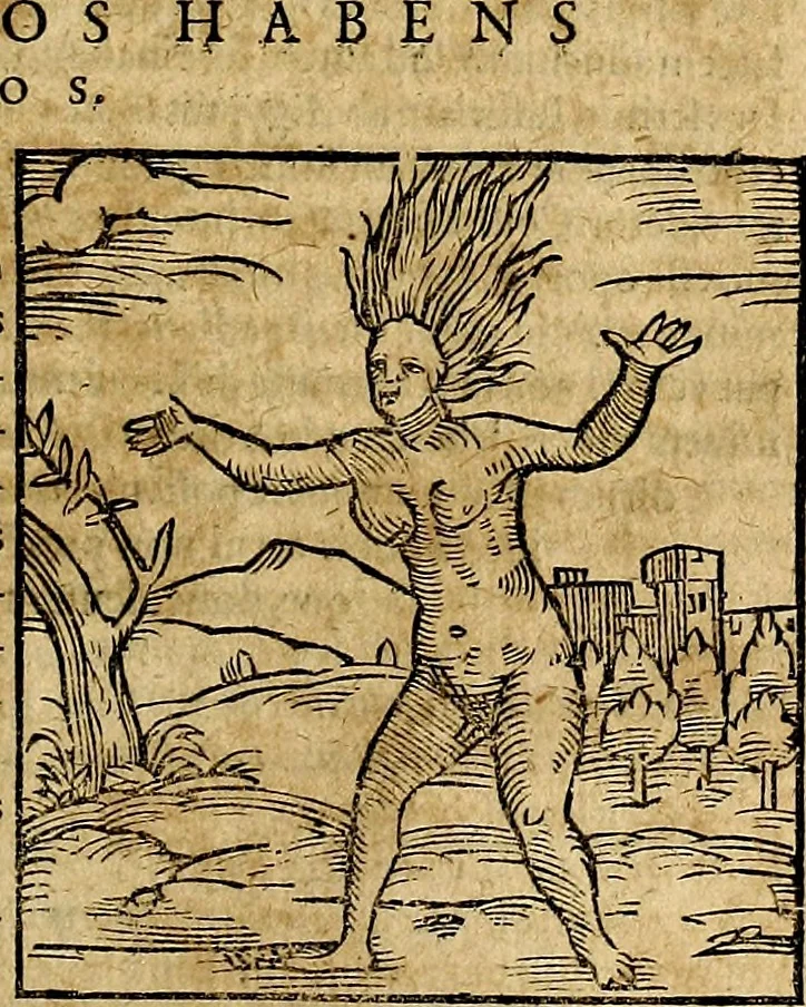 An illustration from Ioannis Pierii Valeriani Bellvnesis Hieroglyphica, sive De sacris Aegypticrvm aliarumq[ue] gentium literis, commentariorum libri LVIII cum duobus alijs ab eruditissimo viro annexis. Accesserunt loco auctarij, Hieroglyphicorum collectanea, ex veteribus & recentioribus auctoribus descripta, & in sex libros digesta. Horapollinis item hieroglyphicorum libri duo, ex postrema Dauidis Hoeschelij correctione. Praetereà eiusdem Pierij declamatiuncula Pro barbis sacerdotum, & reliqua opuscula siue Poemata omnia, 1614, leaf 810