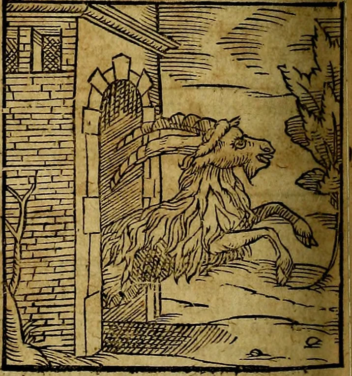 An illustration from Ioannis Pierii Valeriani Bellvnesis Hieroglyphica, sive De sacris Aegypticrvm aliarumq[ue] gentium literis, commentariorum libri LVIII cum duobus alijs ab eruditissimo viro annexis. Accesserunt loco auctarij, Hieroglyphicorum collectanea, ex veteribus & recentioribus auctoribus descripta, & in sex libros digesta. Horapollinis item hieroglyphicorum libri duo, ex postrema Dauidis Hoeschelij correctione. Praetereà eiusdem Pierij declamatiuncula Pro barbis sacerdotum, & reliqua opuscula siue Poemata omnia, 1614, leaf 813
