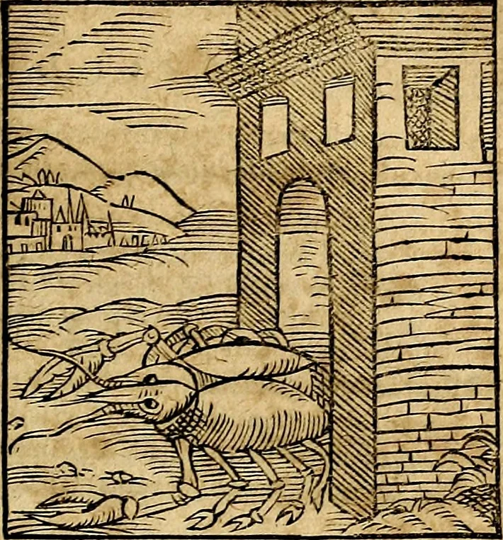 An illustration from Ioannis Pierii Valeriani Bellvnesis Hieroglyphica, sive De sacris Aegypticrvm aliarumq[ue] gentium literis, commentariorum libri LVIII cum duobus alijs ab eruditissimo viro annexis. Accesserunt loco auctarij, Hieroglyphicorum collectanea, ex veteribus & recentioribus auctoribus descripta, & in sex libros digesta. Horapollinis item hieroglyphicorum libri duo, ex postrema Dauidis Hoeschelij correctione. Praetereà eiusdem Pierij declamatiuncula Pro barbis sacerdotum, & reliqua opuscula siue Poemata omnia, 1614, leaf 814