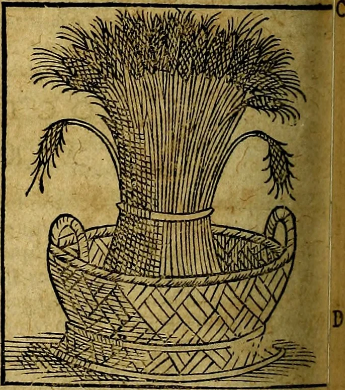 An illustration from Ioannis Pierii Valeriani Bellvnesis Hieroglyphica, sive De sacris Aegypticrvm aliarumq[ue] gentium literis, commentariorum libri LVIII cum duobus alijs ab eruditissimo viro annexis. Accesserunt loco auctarij, Hieroglyphicorum collectanea, ex veteribus & recentioribus auctoribus descripta, & in sex libros digesta. Horapollinis item hieroglyphicorum libri duo, ex postrema Dauidis Hoeschelij correctione. Praetereà eiusdem Pierij declamatiuncula Pro barbis sacerdotum, & reliqua opuscula siue Poemata omnia, 1614, leaf 819