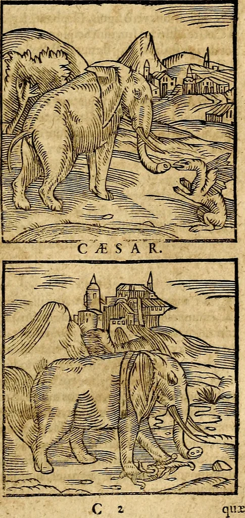 An illustration from Ioannis Pierii Valeriani Bellvnesis Hieroglyphica, sive De sacris Aegypticrvm aliarumq[ue] gentium literis, commentariorum libri LVIII cum duobus alijs ab eruditissimo viro annexis. Accesserunt loco auctarij, Hieroglyphicorum collectanea, ex veteribus & recentioribus auctoribus descripta, & in sex libros digesta. Horapollinis item hieroglyphicorum libri duo, ex postrema Dauidis Hoeschelij correctione. Praetereà eiusdem Pierij declamatiuncula Pro barbis sacerdotum, & reliqua opuscula siue Poemata omnia, 1614, leaf 82