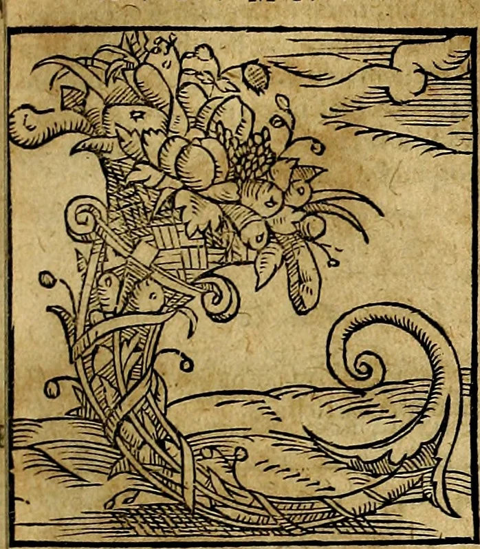 An illustration from Ioannis Pierii Valeriani Bellvnesis Hieroglyphica, sive De sacris Aegypticrvm aliarumq[ue] gentium literis, commentariorum libri LVIII cum duobus alijs ab eruditissimo viro annexis. Accesserunt loco auctarij, Hieroglyphicorum collectanea, ex veteribus & recentioribus auctoribus descripta, & in sex libros digesta. Horapollinis item hieroglyphicorum libri duo, ex postrema Dauidis Hoeschelij correctione. Praetereà eiusdem Pierij declamatiuncula Pro barbis sacerdotum, & reliqua opuscula siue Poemata omnia, 1614, leaf 820
