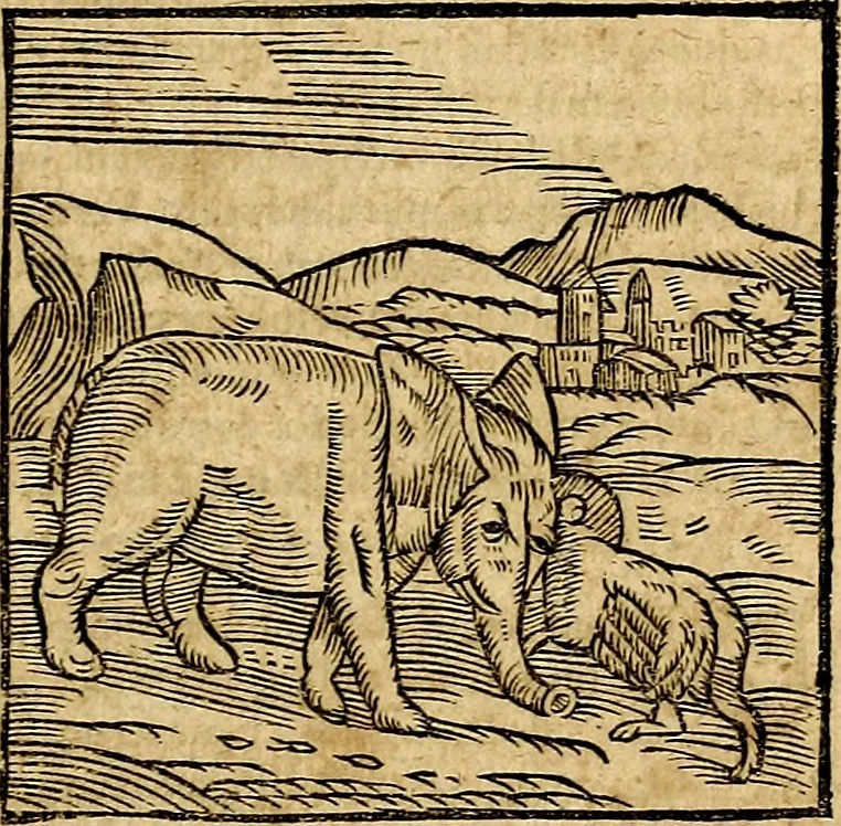 An illustration from Ioannis Pierii Valeriani Bellvnesis Hieroglyphica, sive De sacris Aegypticrvm aliarumq[ue] gentium literis, commentariorum libri LVIII cum duobus alijs ab eruditissimo viro annexis. Accesserunt loco auctarij, Hieroglyphicorum collectanea, ex veteribus & recentioribus auctoribus descripta, & in sex libros digesta. Horapollinis item hieroglyphicorum libri duo, ex postrema Dauidis Hoeschelij correctione. Praetereà eiusdem Pierij declamatiuncula Pro barbis sacerdotum, & reliqua opuscula siue Poemata omnia, 1614, leaf 84