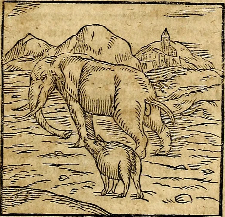 An illustration from Ioannis Pierii Valeriani Bellvnesis Hieroglyphica, sive De sacris Aegypticrvm aliarumq[ue] gentium literis, commentariorum libri LVIII cum duobus alijs ab eruditissimo viro annexis. Accesserunt loco auctarij, Hieroglyphicorum collectanea, ex veteribus & recentioribus auctoribus descripta, & in sex libros digesta. Horapollinis item hieroglyphicorum libri duo, ex postrema Dauidis Hoeschelij correctione. Praetereà eiusdem Pierij declamatiuncula Pro barbis sacerdotum, & reliqua opuscula siue Poemata omnia, 1614, leaf 84