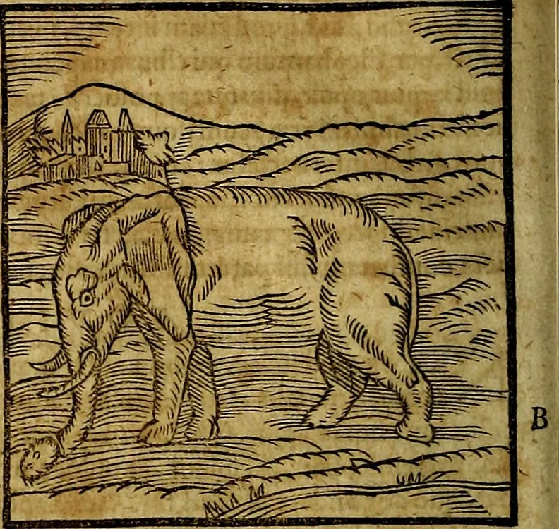 An illustration from Ioannis Pierii Valeriani Bellvnesis Hieroglyphica, sive De sacris Aegypticrvm aliarumq[ue] gentium literis, commentariorum libri LVIII cum duobus alijs ab eruditissimo viro annexis. Accesserunt loco auctarij, Hieroglyphicorum collectanea, ex veteribus & recentioribus auctoribus descripta, & in sex libros digesta. Horapollinis item hieroglyphicorum libri duo, ex postrema Dauidis Hoeschelij correctione. Praetereà eiusdem Pierij declamatiuncula Pro barbis sacerdotum, & reliqua opuscula siue Poemata omnia, 1614, leaf 85