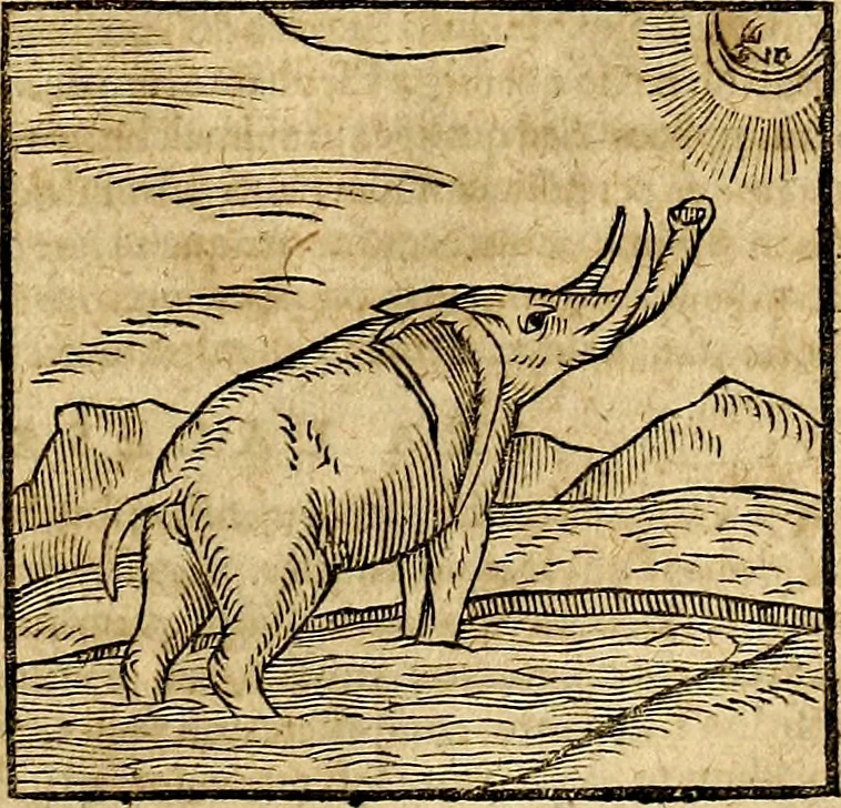 An illustration from Ioannis Pierii Valeriani Bellvnesis Hieroglyphica, sive De sacris Aegypticrvm aliarumq[ue] gentium literis, commentariorum libri LVIII cum duobus alijs ab eruditissimo viro annexis. Accesserunt loco auctarij, Hieroglyphicorum collectanea, ex veteribus & recentioribus auctoribus descripta, & in sex libros digesta. Horapollinis item hieroglyphicorum libri duo, ex postrema Dauidis Hoeschelij correctione. Praetereà eiusdem Pierij declamatiuncula Pro barbis sacerdotum, & reliqua opuscula siue Poemata omnia, 1614, leaf 86