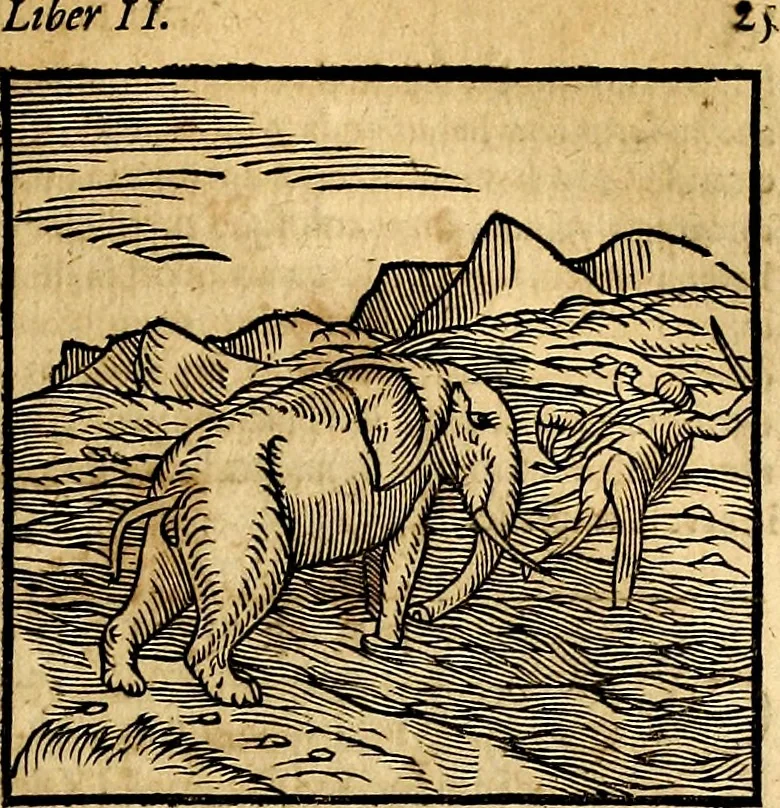 An illustration from Ioannis Pierii Valeriani Bellvnesis Hieroglyphica, sive De sacris Aegypticrvm aliarumq[ue] gentium literis, commentariorum libri LVIII cum duobus alijs ab eruditissimo viro annexis. Accesserunt loco auctarij, Hieroglyphicorum collectanea, ex veteribus & recentioribus auctoribus descripta, & in sex libros digesta. Horapollinis item hieroglyphicorum libri duo, ex postrema Dauidis Hoeschelij correctione. Praetereà eiusdem Pierij declamatiuncula Pro barbis sacerdotum, & reliqua opuscula siue Poemata omnia, 1614, leaf 88