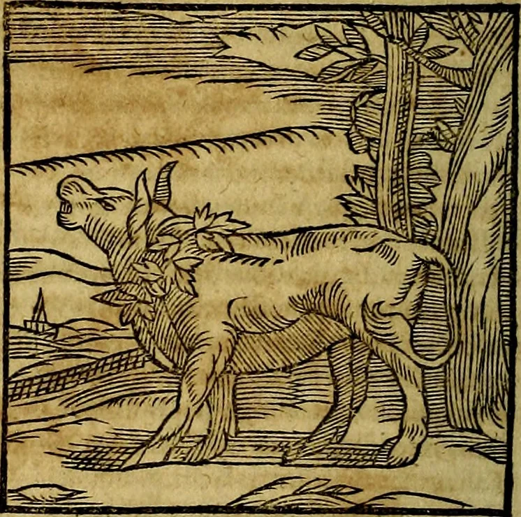 An illustration from Ioannis Pierii Valeriani Bellvnesis Hieroglyphica, sive De sacris Aegypticrvm aliarumq[ue] gentium literis, commentariorum libri LVIII cum duobus alijs ab eruditissimo viro annexis. Accesserunt loco auctarij, Hieroglyphicorum collectanea, ex veteribus & recentioribus auctoribus descripta, & in sex libros digesta. Horapollinis item hieroglyphicorum libri duo, ex postrema Dauidis Hoeschelij correctione. Praetereà eiusdem Pierij declamatiuncula Pro barbis sacerdotum, & reliqua opuscula siue Poemata omnia, 1614, leaf 93