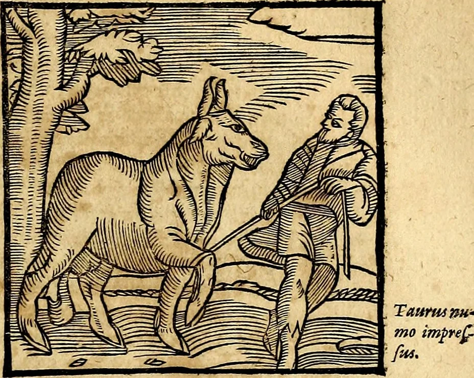 An illustration from Ioannis Pierii Valeriani Bellvnesis Hieroglyphica, sive De sacris Aegypticrvm aliarumq[ue] gentium literis, commentariorum libri LVIII cum duobus alijs ab eruditissimo viro annexis. Accesserunt loco auctarij, Hieroglyphicorum collectanea, ex veteribus & recentioribus auctoribus descripta, & in sex libros digesta. Horapollinis item hieroglyphicorum libri duo, ex postrema Dauidis Hoeschelij correctione. Praetereà eiusdem Pierij declamatiuncula Pro barbis sacerdotum, & reliqua opuscula siue Poemata omnia, 1614, leaf 94