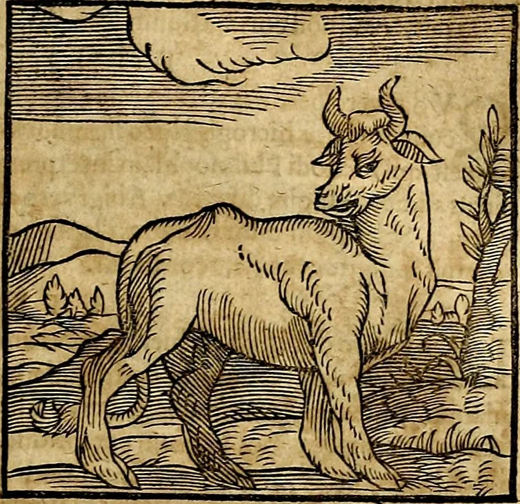 An illustration from Ioannis Pierii Valeriani Bellvnesis Hieroglyphica, sive De sacris Aegypticrvm aliarumq[ue] gentium literis, commentariorum libri LVIII cum duobus alijs ab eruditissimo viro annexis. Accesserunt loco auctarij, Hieroglyphicorum collectanea, ex veteribus & recentioribus auctoribus descripta, & in sex libros digesta. Horapollinis item hieroglyphicorum libri duo, ex postrema Dauidis Hoeschelij correctione. Praetereà eiusdem Pierij declamatiuncula Pro barbis sacerdotum, & reliqua opuscula siue Poemata omnia, 1614, leaf 96