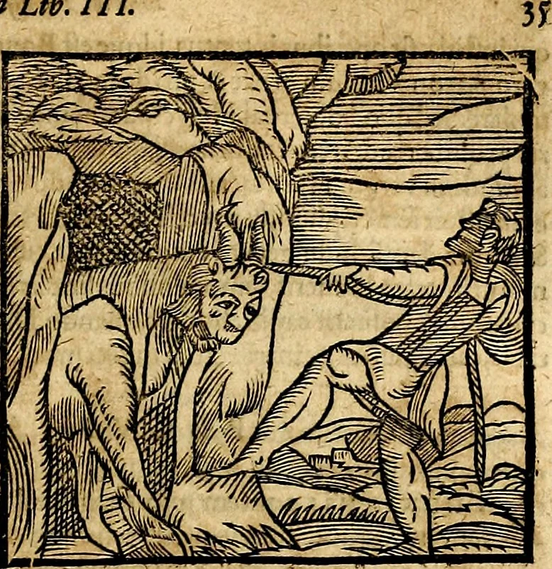 An illustration from Ioannis Pierii Valeriani Bellvnesis Hieroglyphica, sive De sacris Aegypticrvm aliarumq[ue] gentium literis, commentariorum libri LVIII cum duobus alijs ab eruditissimo viro annexis. Accesserunt loco auctarij, Hieroglyphicorum collectanea, ex veteribus & recentioribus auctoribus descripta, & in sex libros digesta. Horapollinis item hieroglyphicorum libri duo, ex postrema Dauidis Hoeschelij correctione. Praetereà eiusdem Pierij declamatiuncula Pro barbis sacerdotum, & reliqua opuscula siue Poemata omnia, 1614, leaf 98