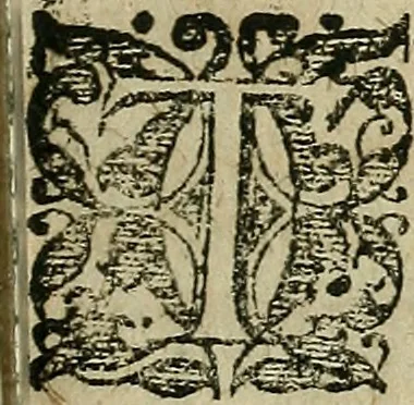 An illustration from Ioannis Rami, I.C. acutissimi celeberrimique : commentariorum in omnes regulas juris, tam civilis, quam canonici, eleganti ac singulari methodo, universæ jurisprudeniæ oeconmiam, locorumque communium dispositionem & enodationem, artificiosè complectentium .., 1606, leaf 22