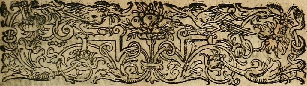 An illustration from Ioannis Rami, I.C. acutissimi celeberrimique : commentariorum in omnes regulas juris, tam civilis, quam canonici, eleganti ac singulari methodo, universæ jurisprudeniæ oeconmiam, locorumque communium dispositionem & enodationem, artificiosè complectentium .., 1606, leaf 6