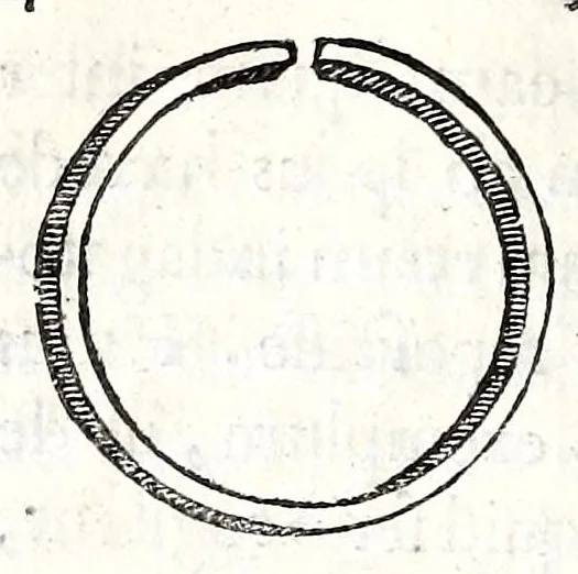 An illustration from Ioannis Rhodii De acia dissertatio ad Cornelii Celsi mentem, 1639, leaf 108