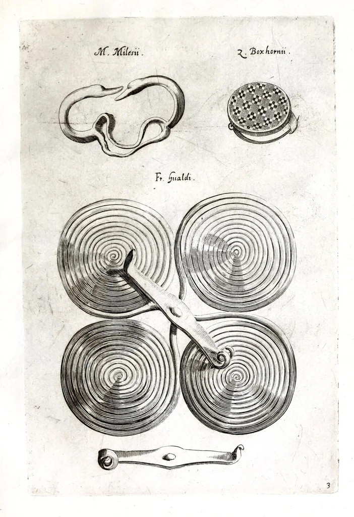An illustration from Ioannis Rhodii De acia dissertatio ad Cornelii Celsi mentem, 1639, leaf 89