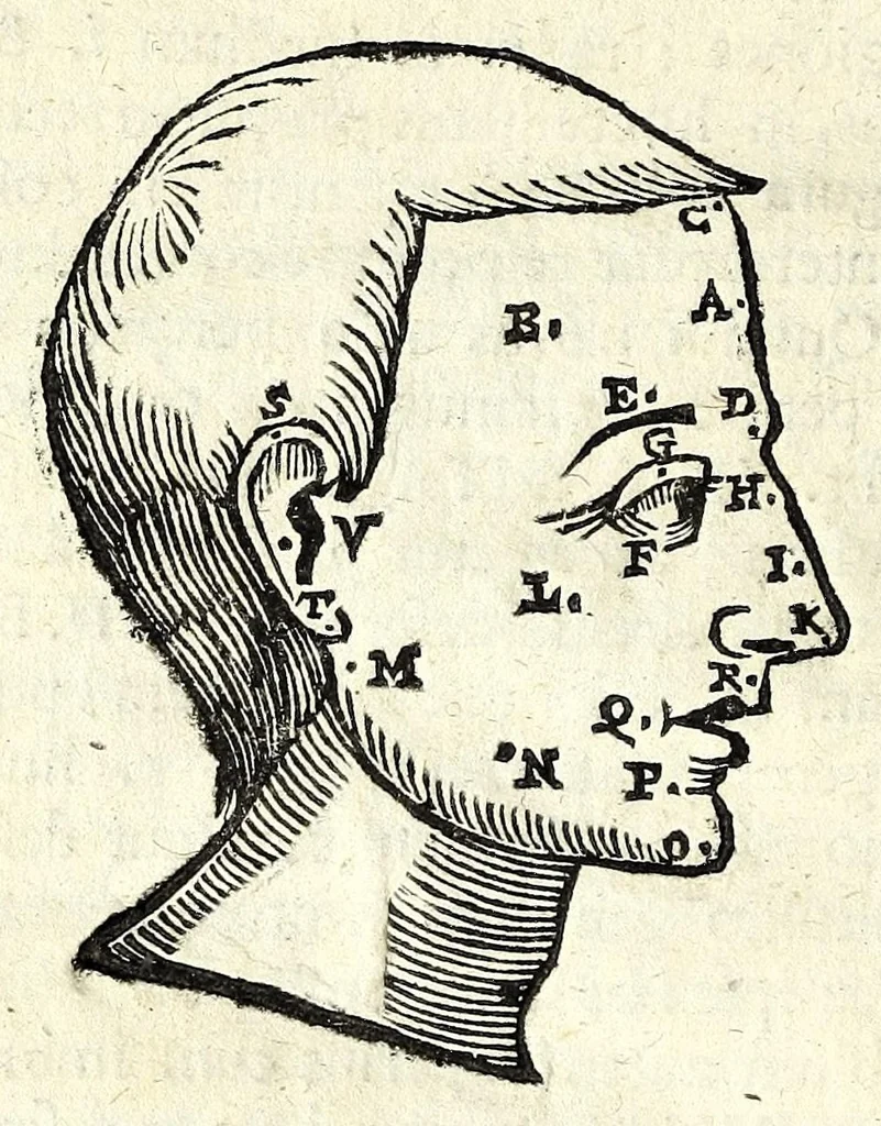 An illustration from Ioannis Sigismvndi Elsholtii Anthropometria : accessit doctrina naevorum, 1654, leaf 110