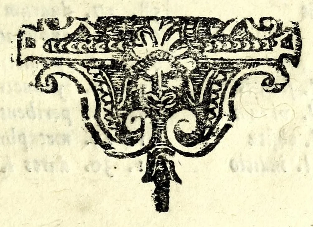 An illustration from Ioannis Sigismvndi Elsholtii Anthropometria : accessit doctrina naevorum, 1654, leaf 115