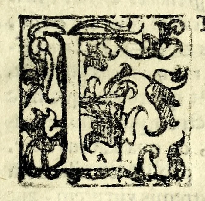 An illustration from Ioannis Sigismvndi Elsholtii Anthropometria : accessit doctrina naevorum, 1654, leaf 13