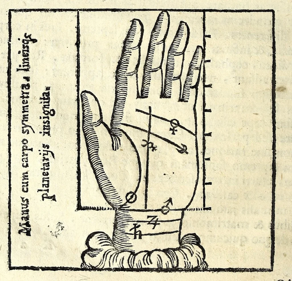 An illustration from Ioannis Sigismvndi Elsholtii Anthropometria : accessit doctrina naevorum, 1654, leaf 80