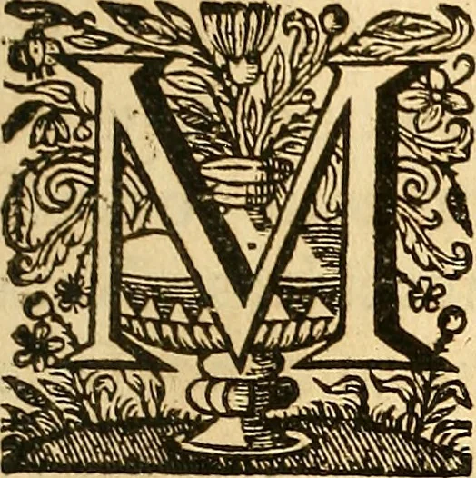 An illustration from Ioannis Veslingii ... Syntagma anatomicum, 1647, leaf 106